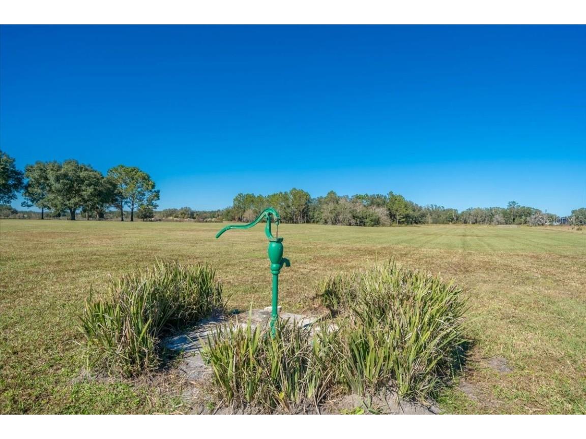 31935 County Road 52 San Antonio FL 33576 T3357865 image16