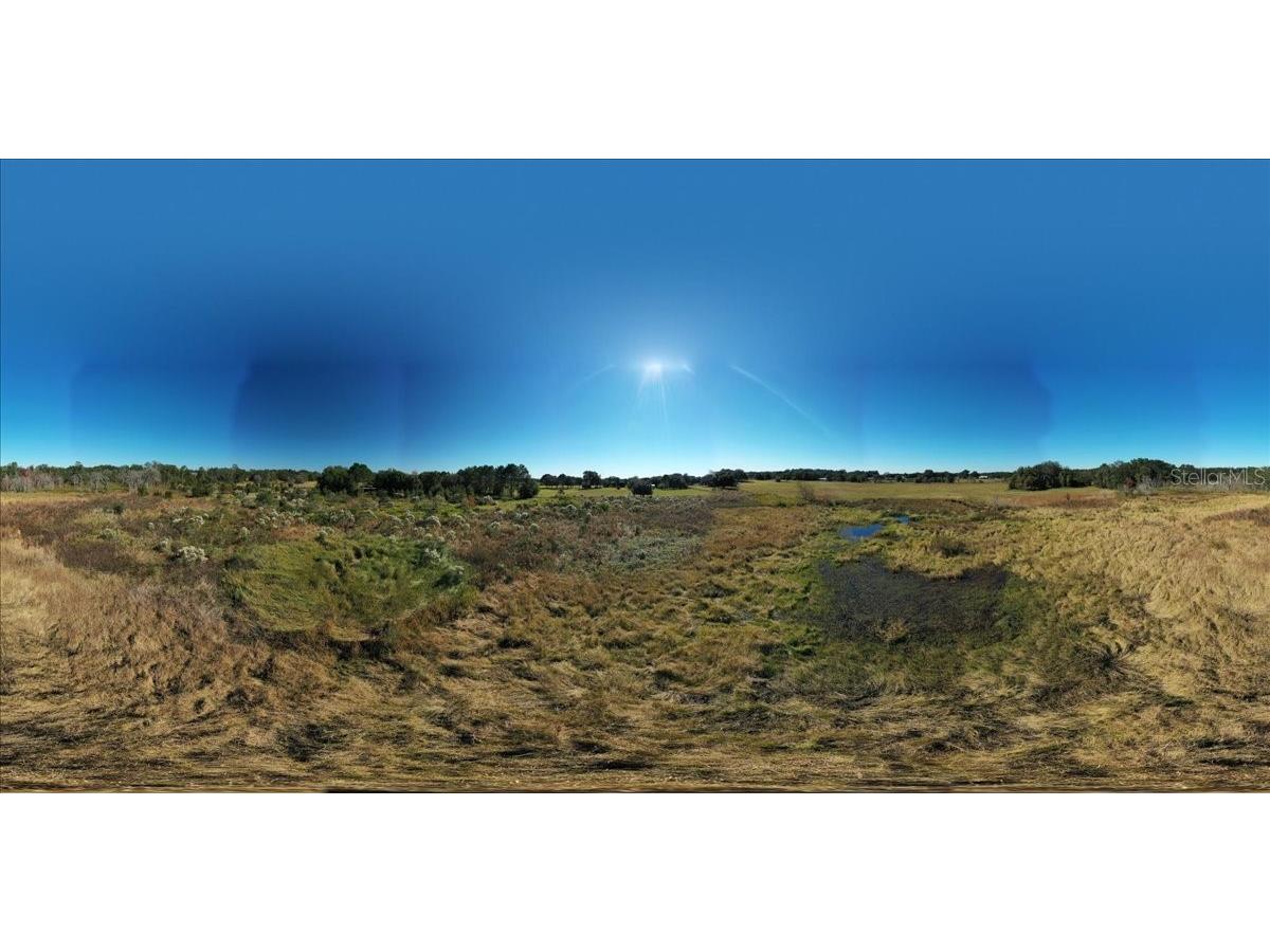 31935 County Road 52 San Antonio FL 33576 T3357865 image28