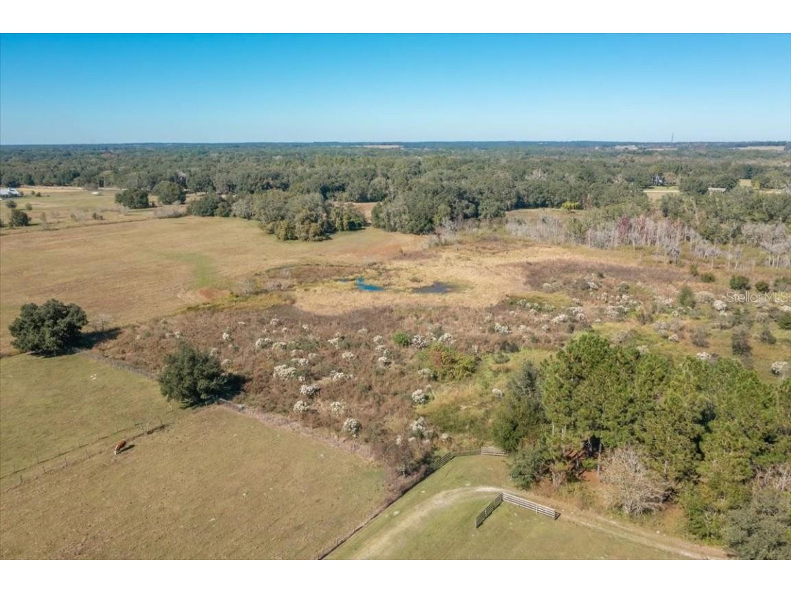 31935 County Road 52 San Antonio FL 33576 T3357865 image37