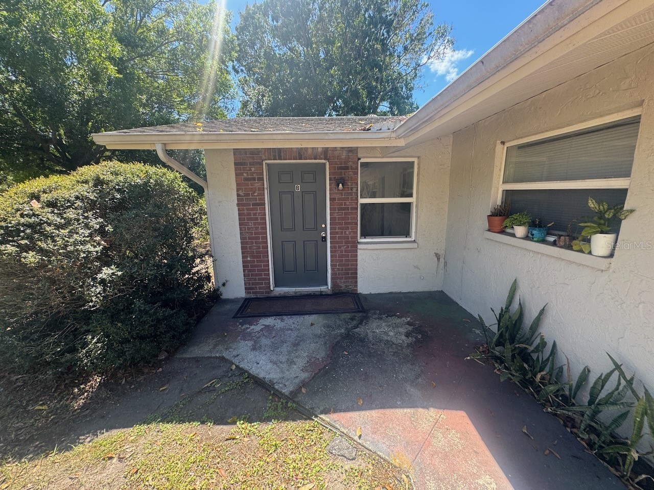 3194 Green Acres Avenue Largo FL 33771 TB8489878 image1