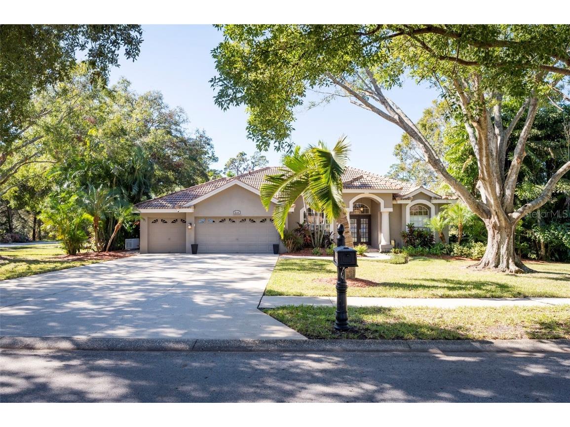 3194 Meadow View Lane Palm Harbor FL 34683 TB8326110 image1