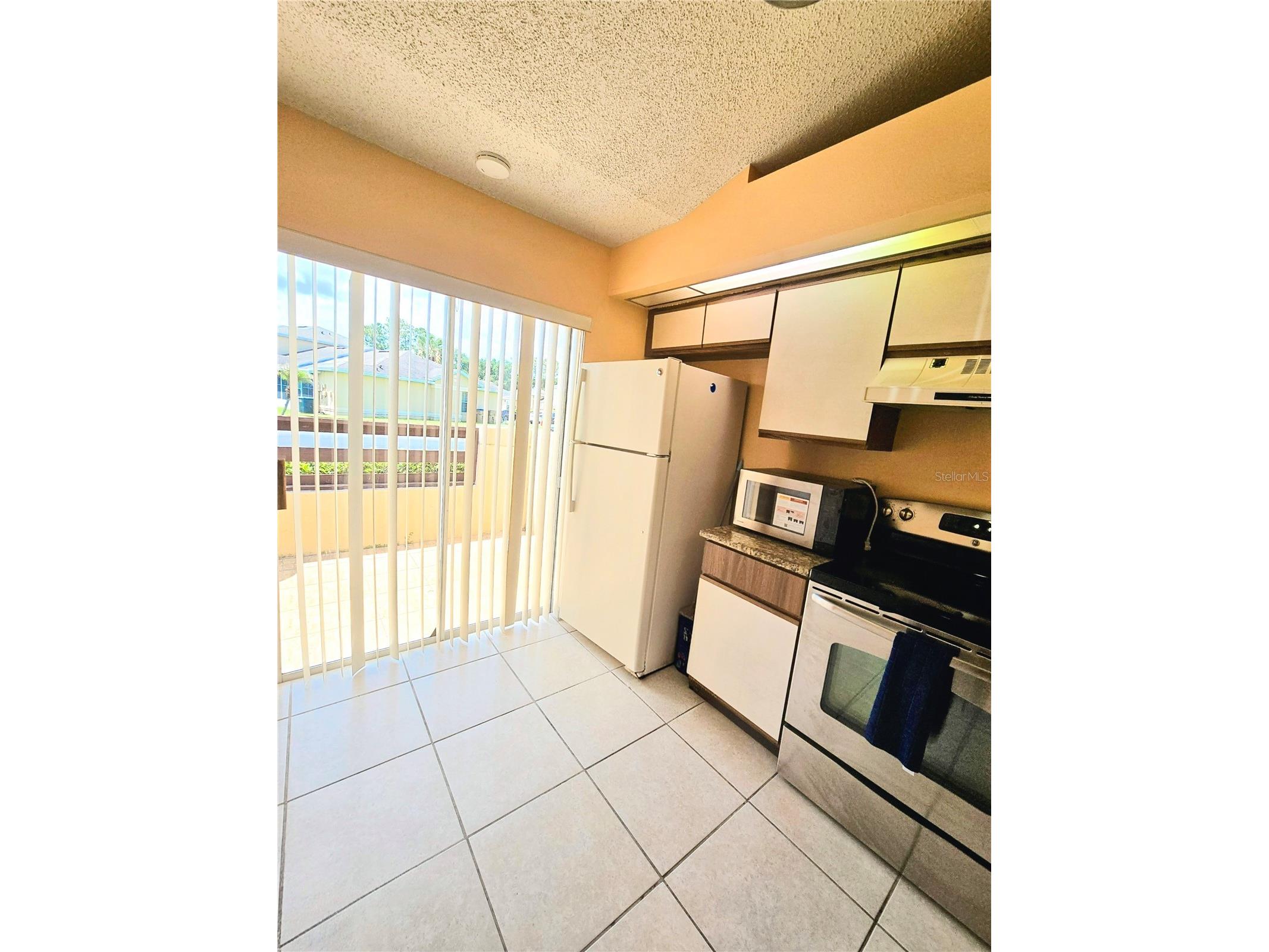 3194 Sandy Shore Lane Kissimmee FL 34743 O6412148 image12