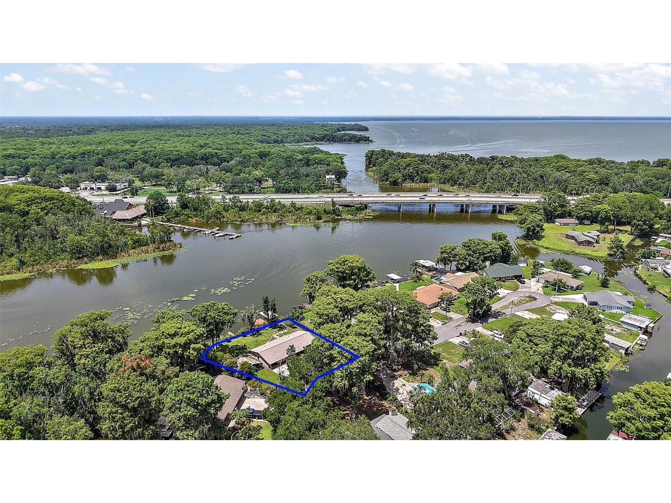 31941 Tropical Shores Drive Tavares FL 32778 - Dead River G5097436 image1