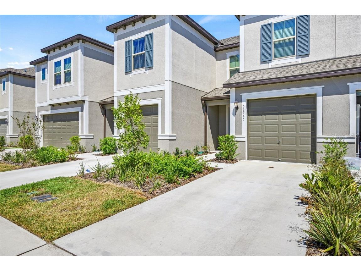 31945 Blue Passing Loop Wesley Chapel FL 33545 TB8434734 image1