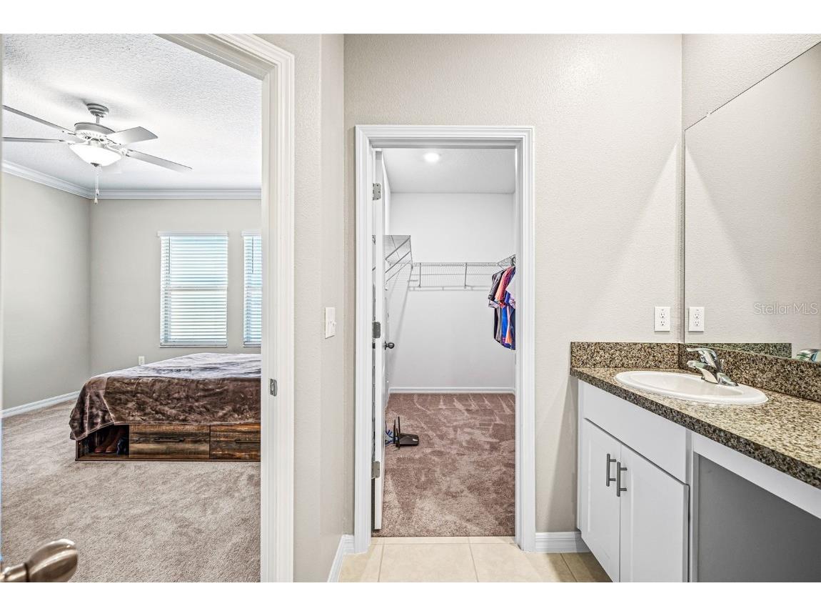 31945 Blue Passing Loop Wesley Chapel FL 33545 TB8434734 image14