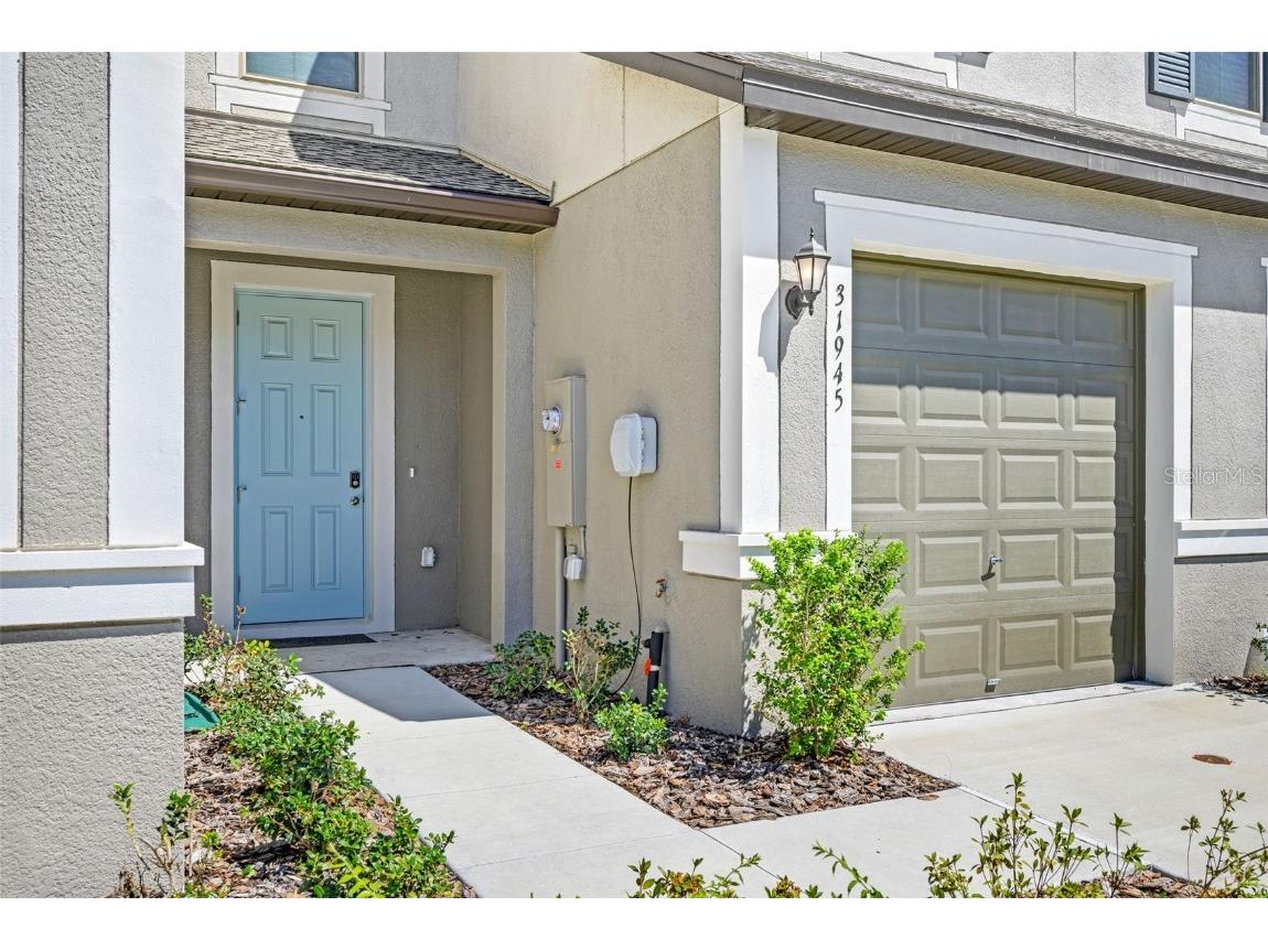 31945 Blue Passing Loop Wesley Chapel FL 33545 TB8434734 image2