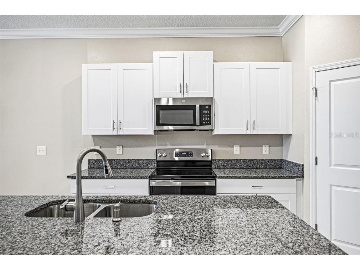 31945 Blue Passing Loop Wesley Chapel FL 33545 TB8434734 image6