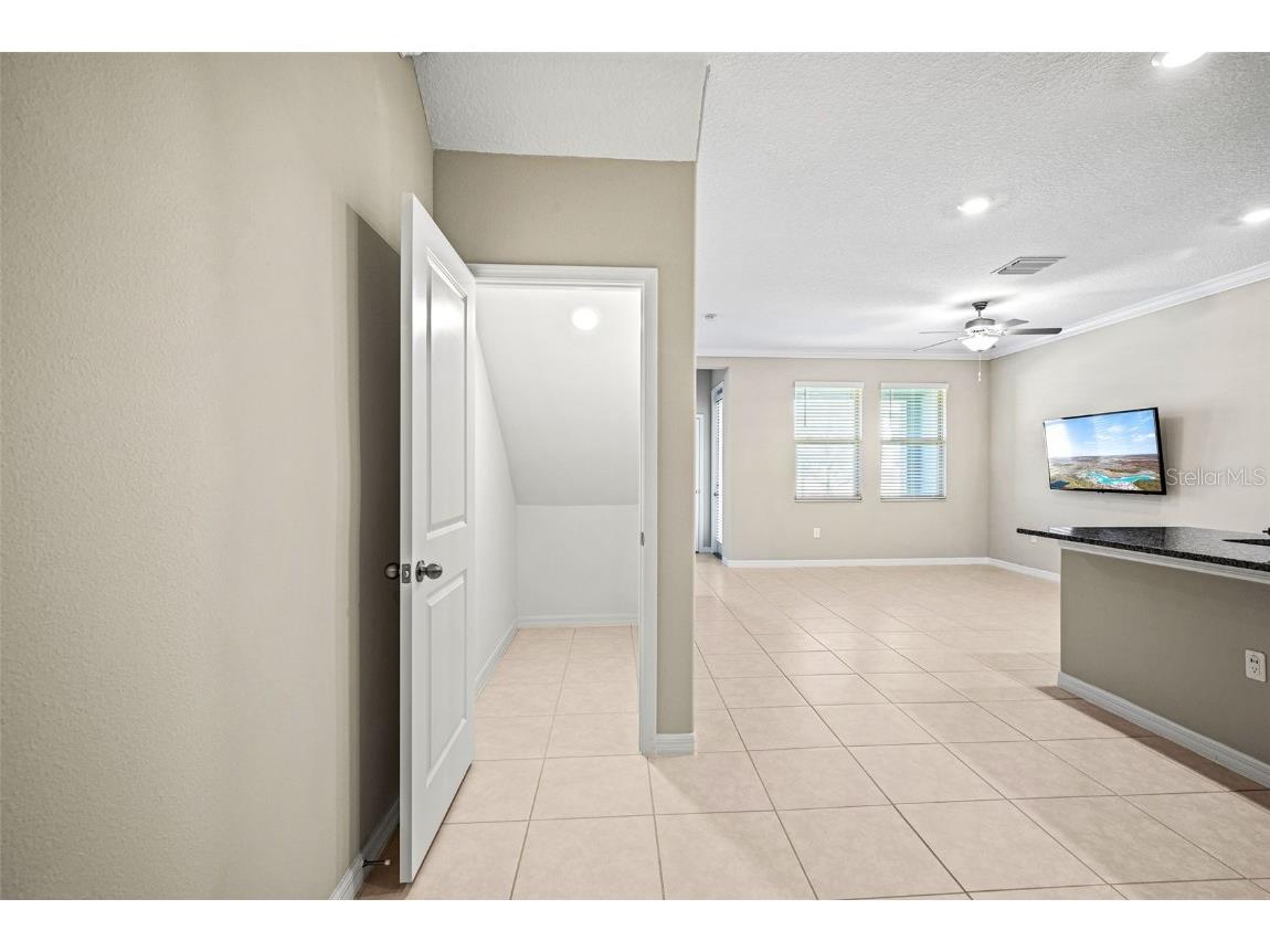 31945 Blue Passing Loop Wesley Chapel FL 33545 TB8434734 image8