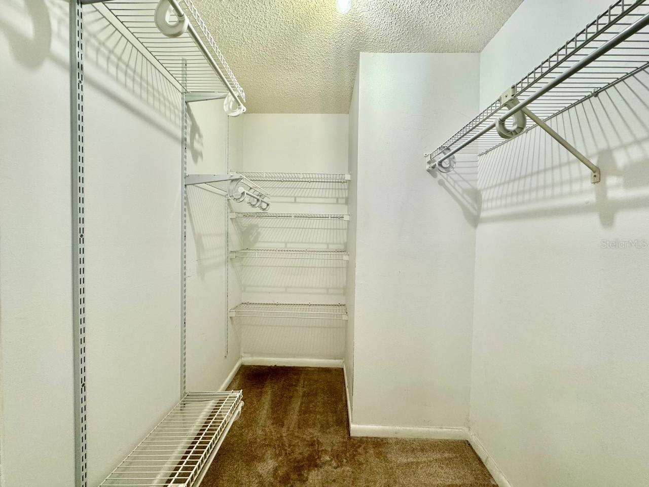 3195 Chamblee Lane Clearwater FL 33759 TB8526189 image25