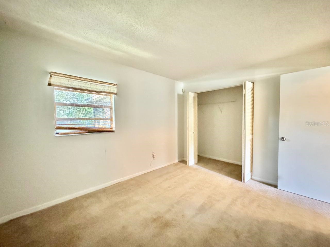 3195 Chamblee Lane Clearwater FL 33759 TB8526189 image30