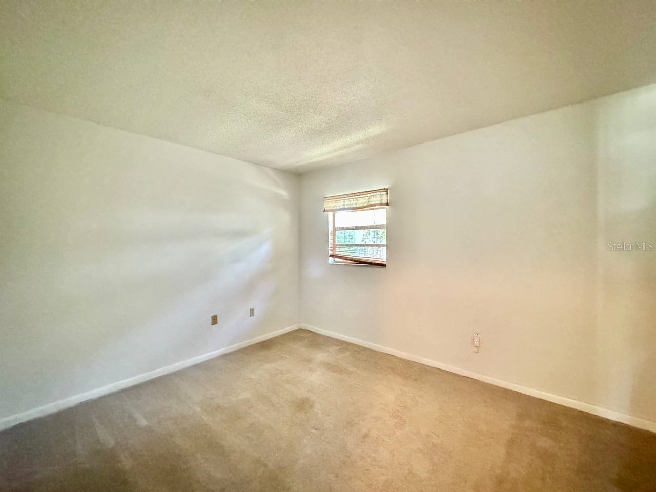 3195 Chamblee Lane Clearwater FL 33759 TB8526189 image31