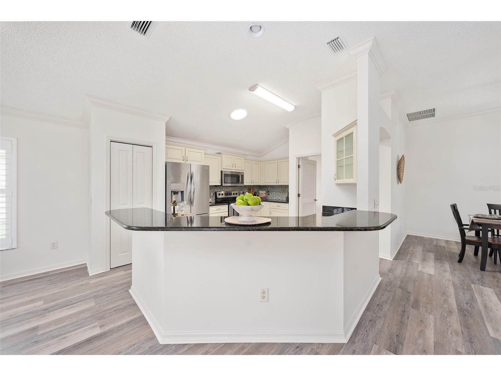 3195 Mansfield Street The Villages FL 32162 G5113603 image18