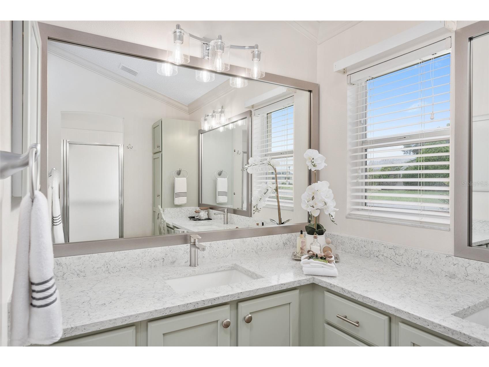 3195 Mansfield Street The Villages FL 32162 G5113603 image37