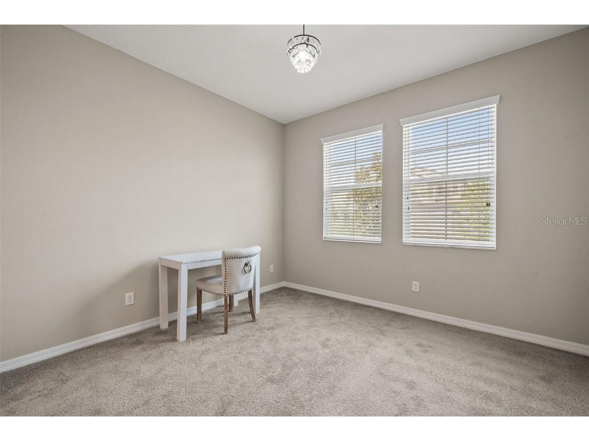 31954 Sapna Chime Drive Wesley Chapel FL 33545 TB8422210 image14