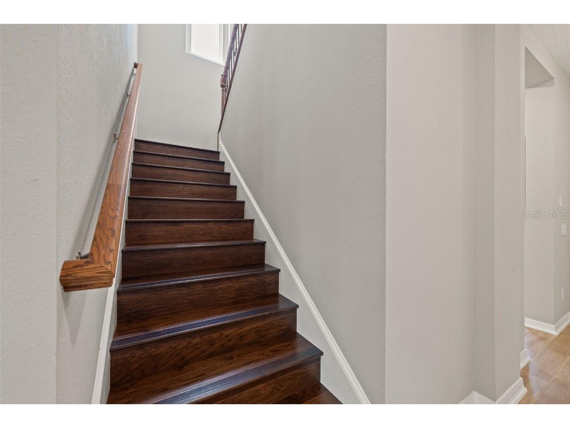 31954 Sapna Chime Drive Wesley Chapel FL 33545 TB8422210 image18