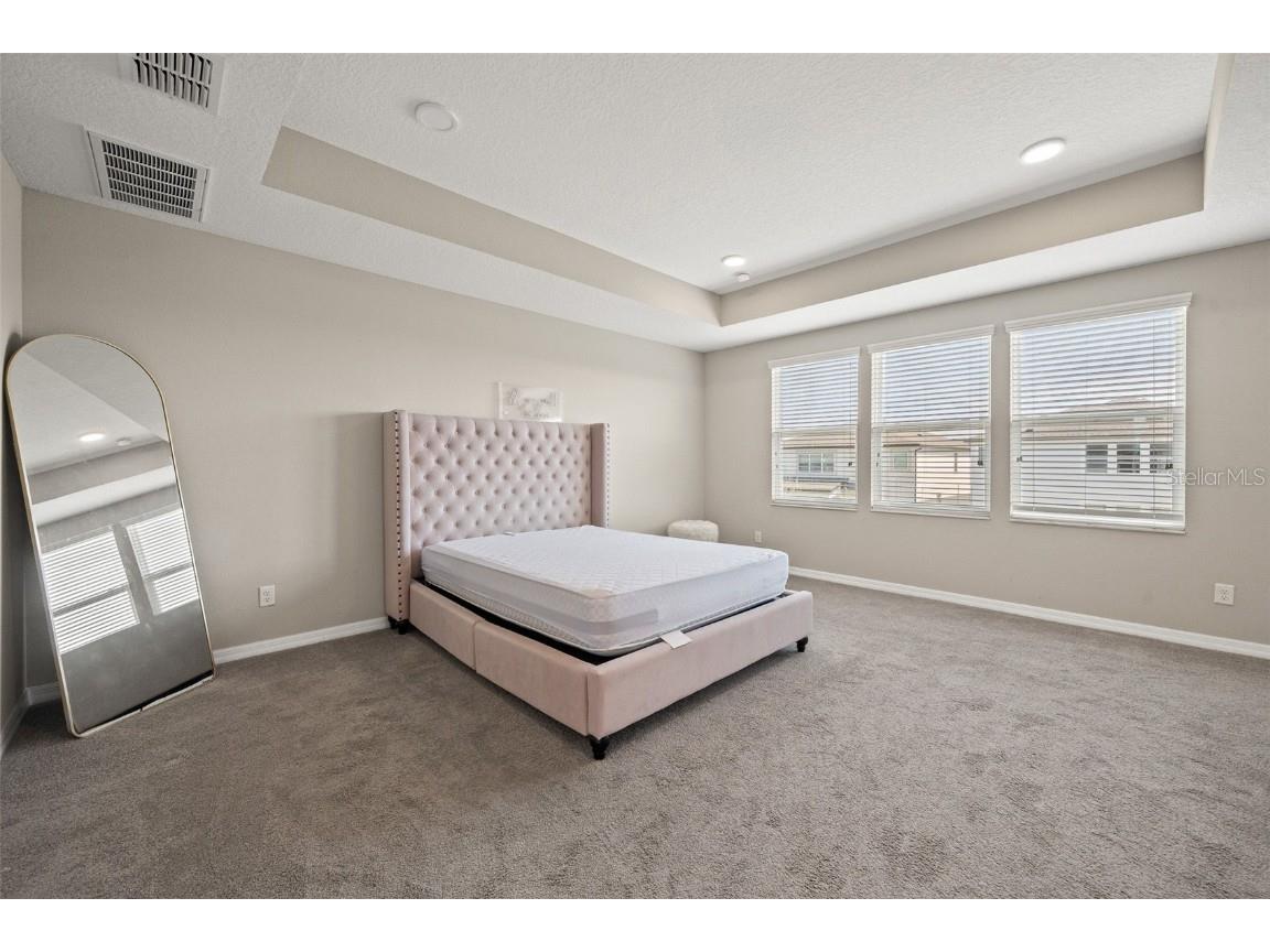 31954 Sapna Chime Drive Wesley Chapel FL 33545 TB8422210 image19