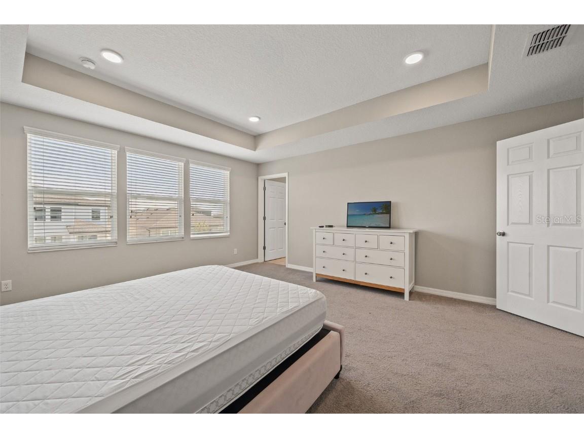 31954 Sapna Chime Drive Wesley Chapel FL 33545 TB8422210 image20