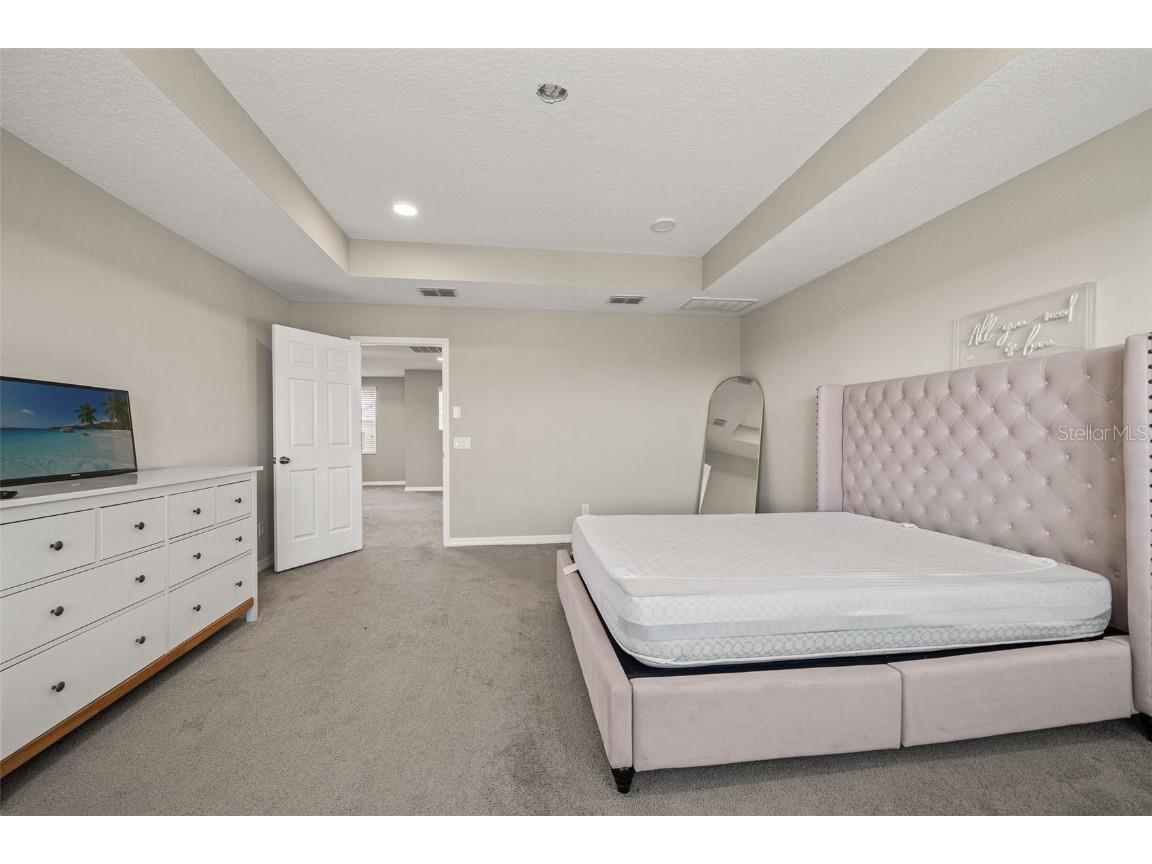 31954 Sapna Chime Drive Wesley Chapel FL 33545 TB8422210 image21