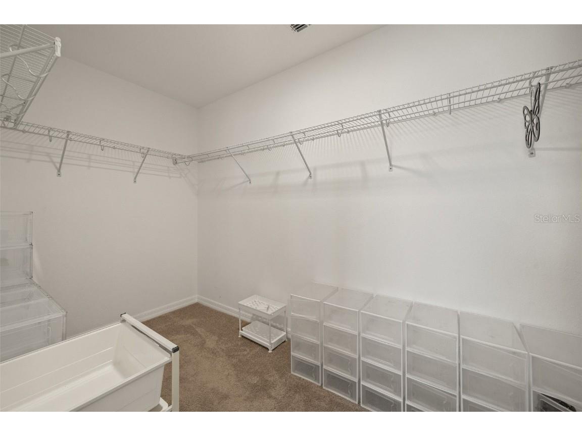 31954 Sapna Chime Drive Wesley Chapel FL 33545 TB8422210 image24