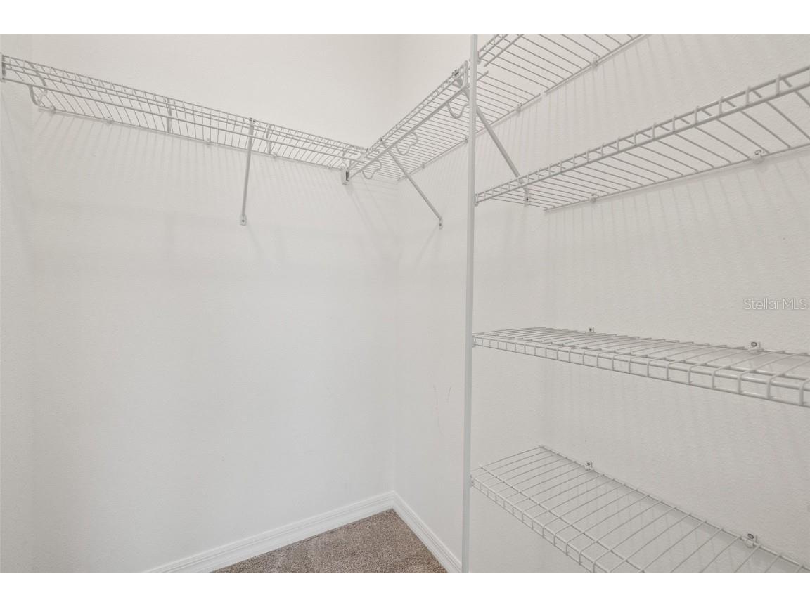 31954 Sapna Chime Drive Wesley Chapel FL 33545 TB8422210 image25