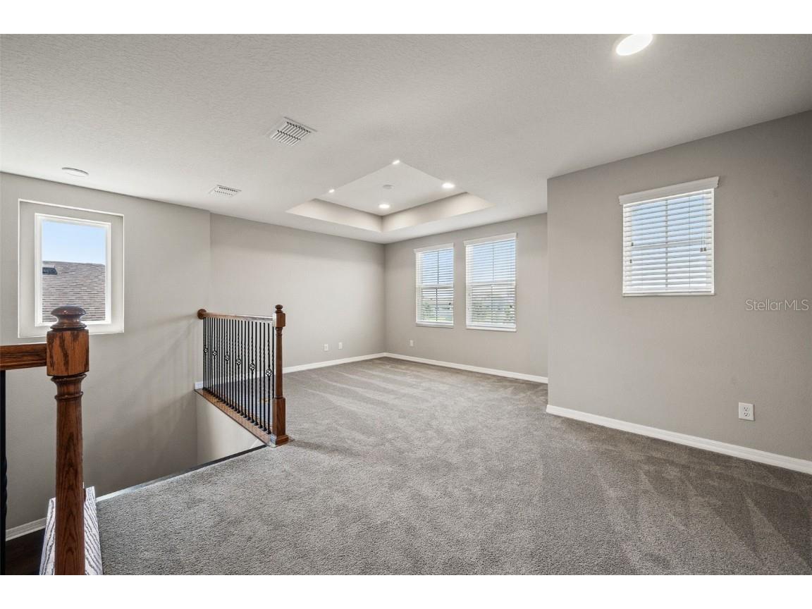 31954 Sapna Chime Drive Wesley Chapel FL 33545 TB8422210 image28