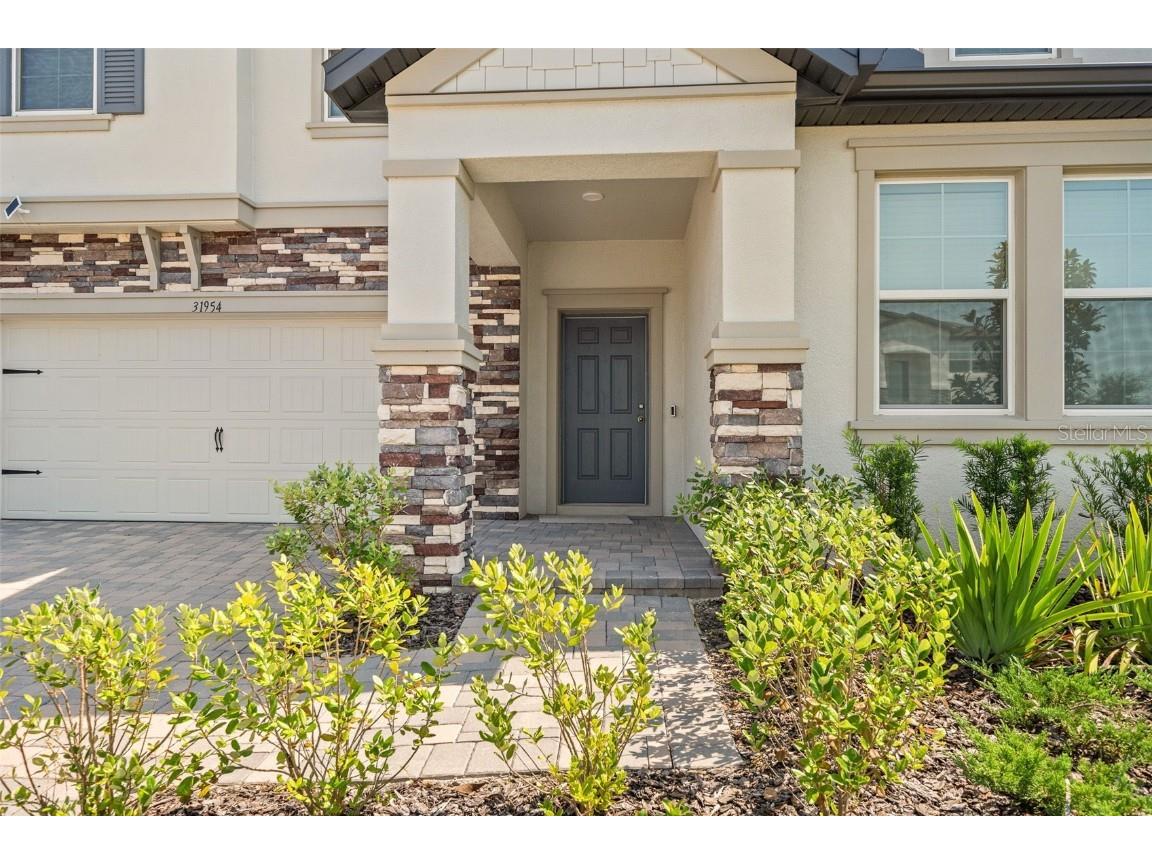 31954 Sapna Chime Drive Wesley Chapel FL 33545 TB8422210 image3