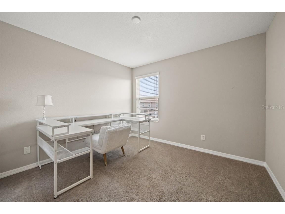 31954 Sapna Chime Drive Wesley Chapel FL 33545 TB8422210 image30