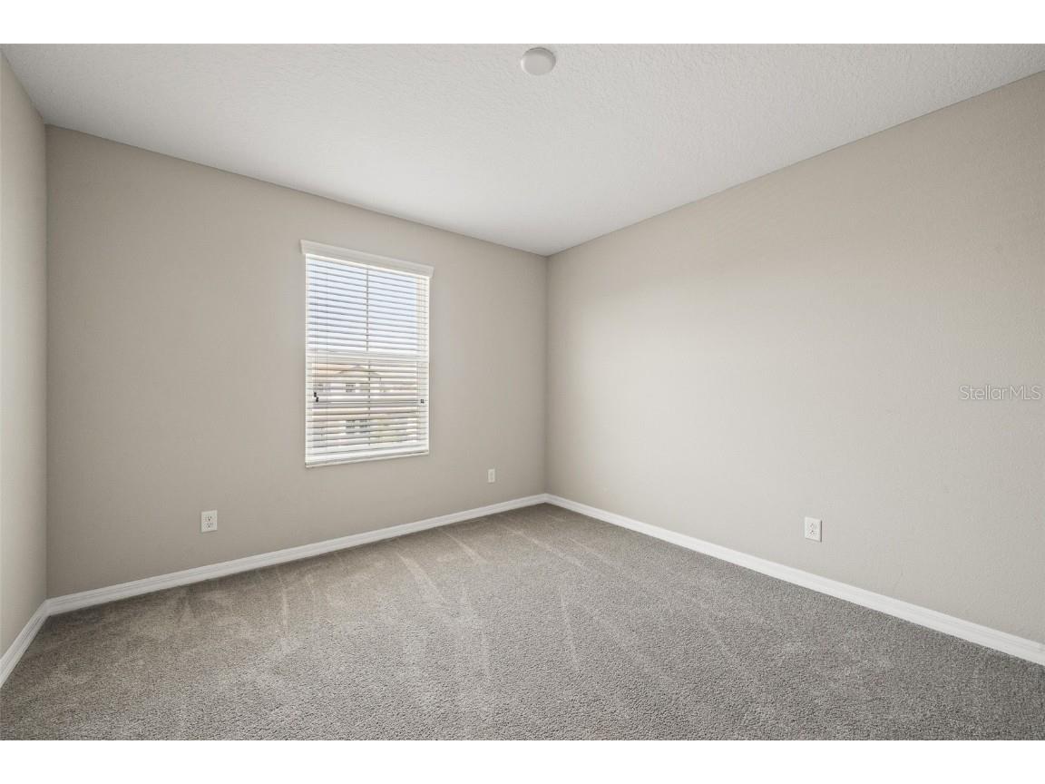 31954 Sapna Chime Drive Wesley Chapel FL 33545 TB8422210 image32