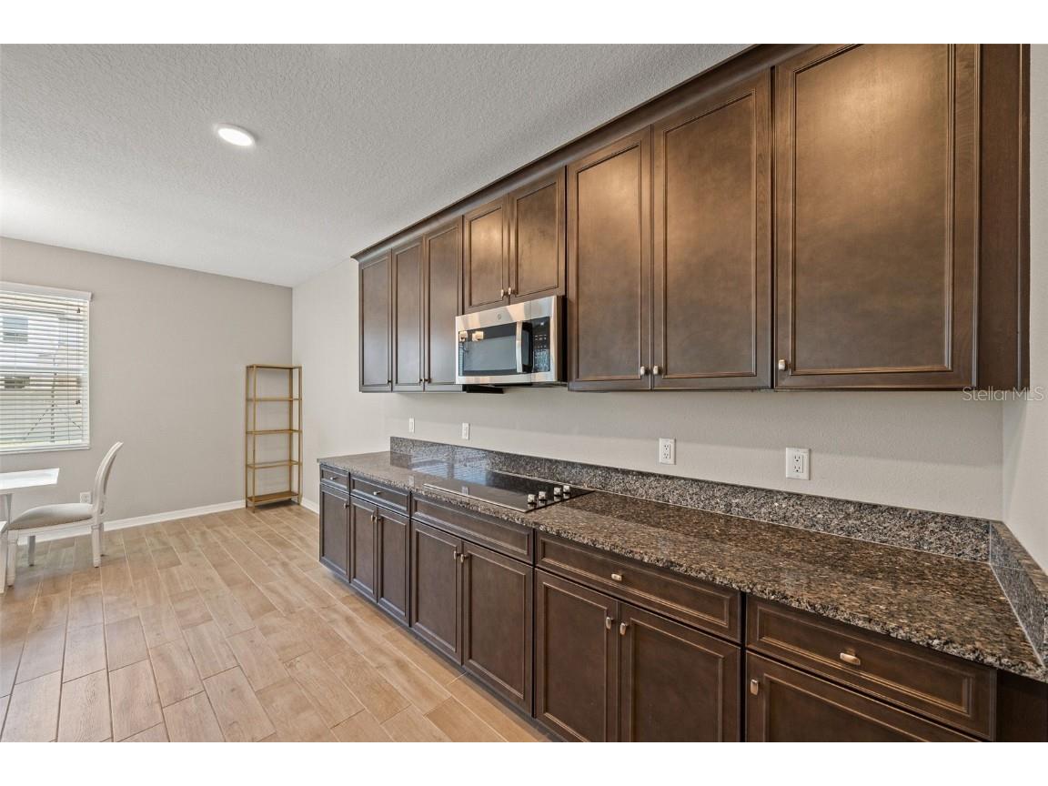 31954 Sapna Chime Drive Wesley Chapel FL 33545 TB8422210 image7