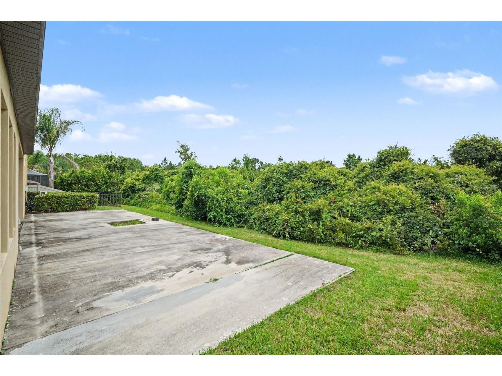 31957 Mardelle Place Wesley Chapel FL 33543 TB8523425 image18