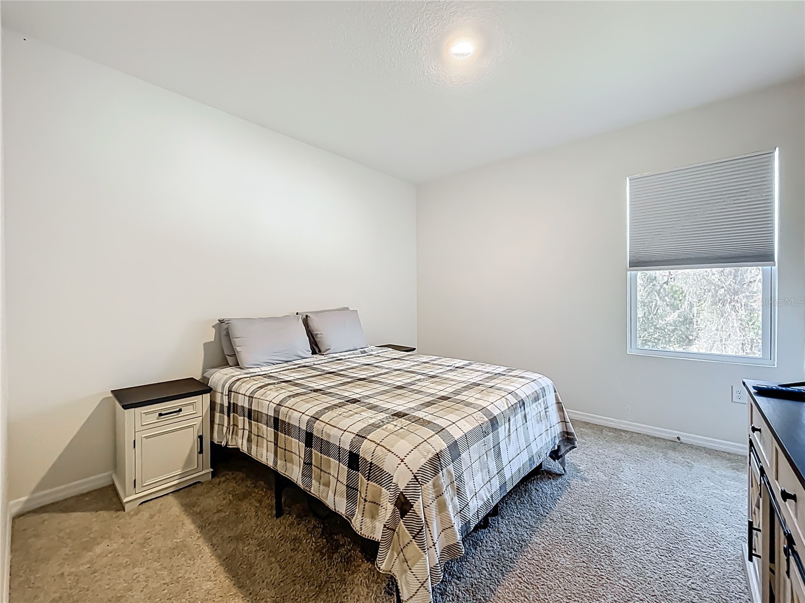 3196 Blue Crab Drive Tavares FL 32778 O6384528 image12