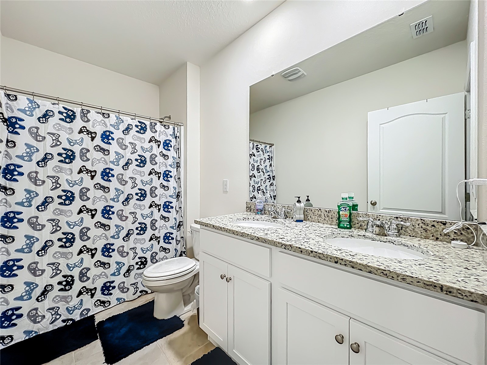 3196 Blue Crab Drive Tavares FL 32778 O6384528 image14