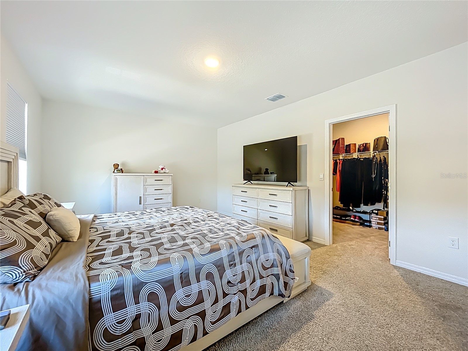 3196 Blue Crab Drive Tavares FL 32778 O6384528 image19