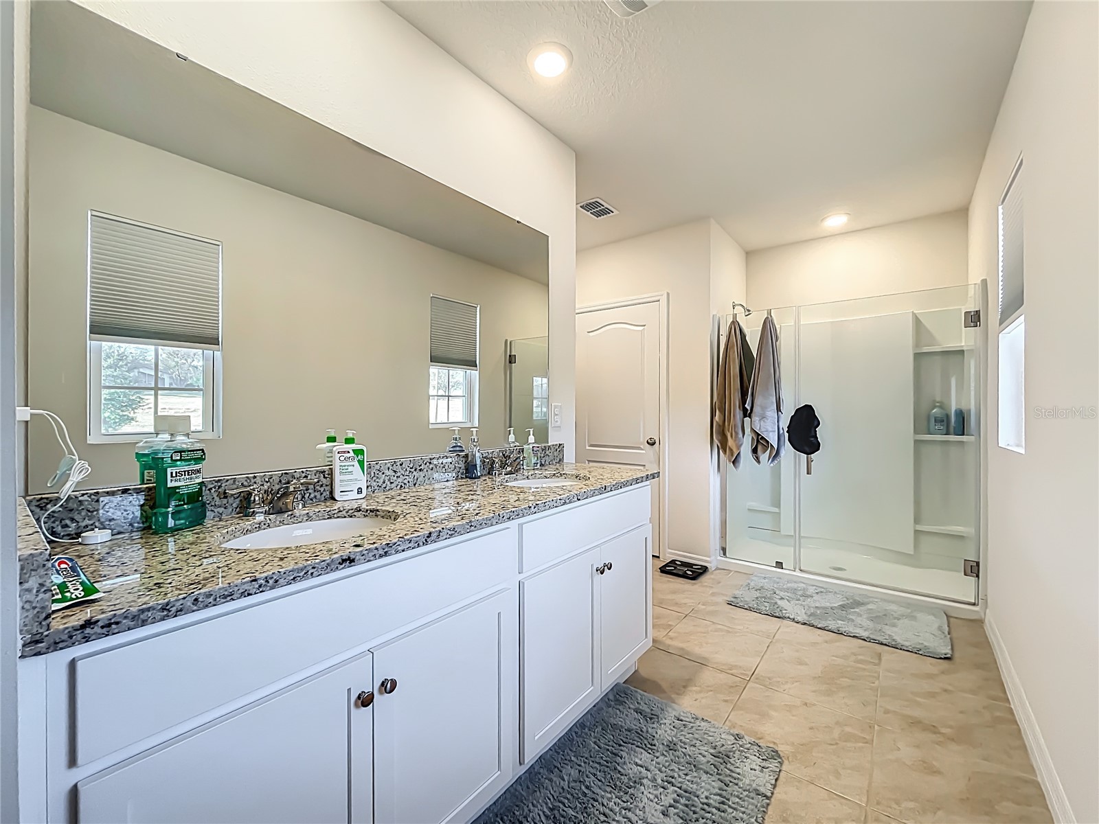 3196 Blue Crab Drive Tavares FL 32778 O6384528 image21