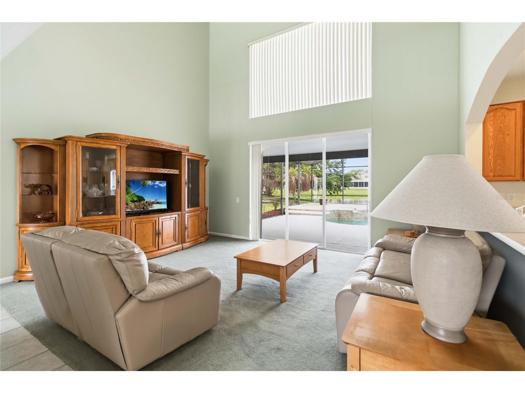 3196 Hanging Moss Circle Kissimmee FL 34741 S5149896 image6