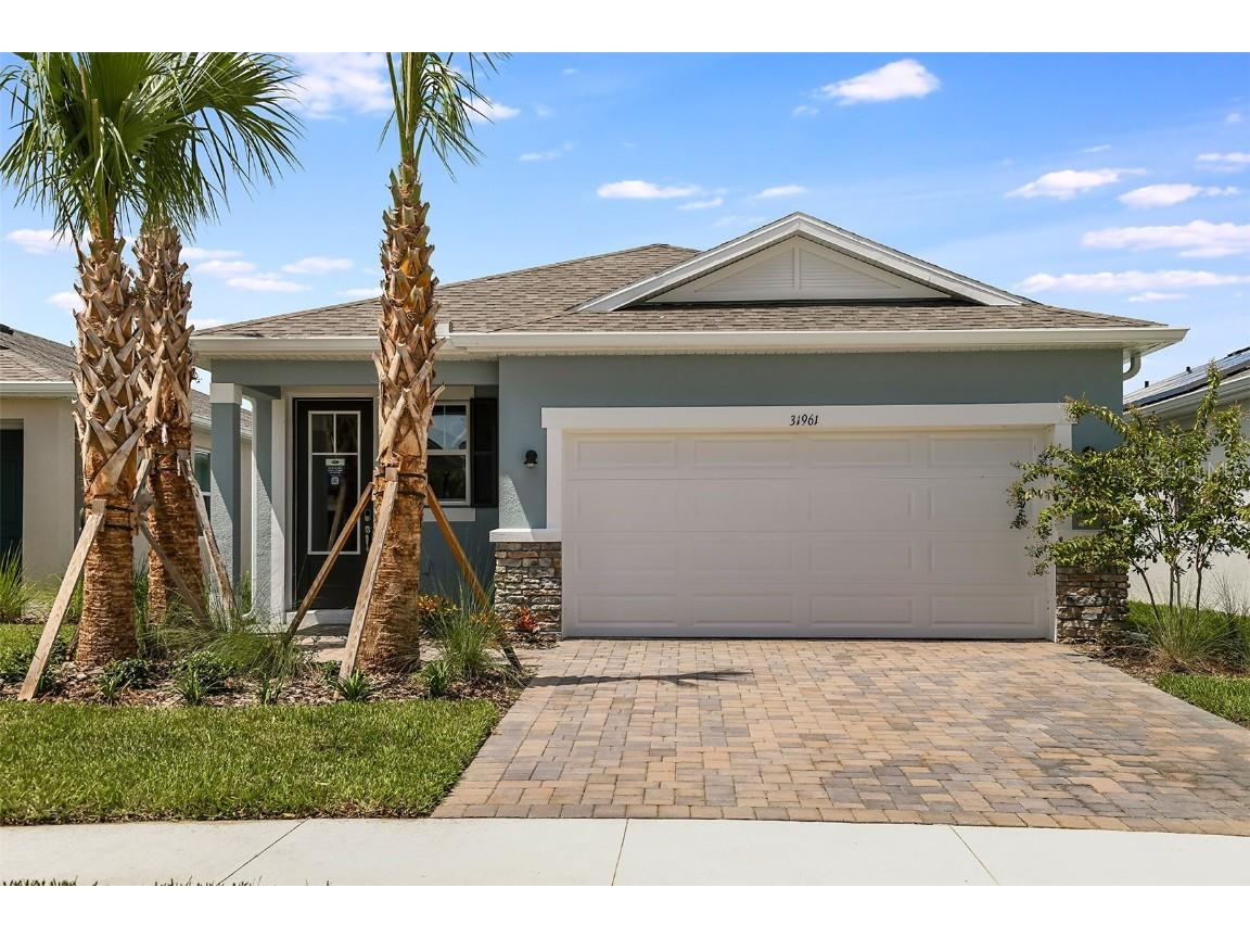 31961 Asbury Avenue Wesley Chapel FL 33545 T3515654 image1