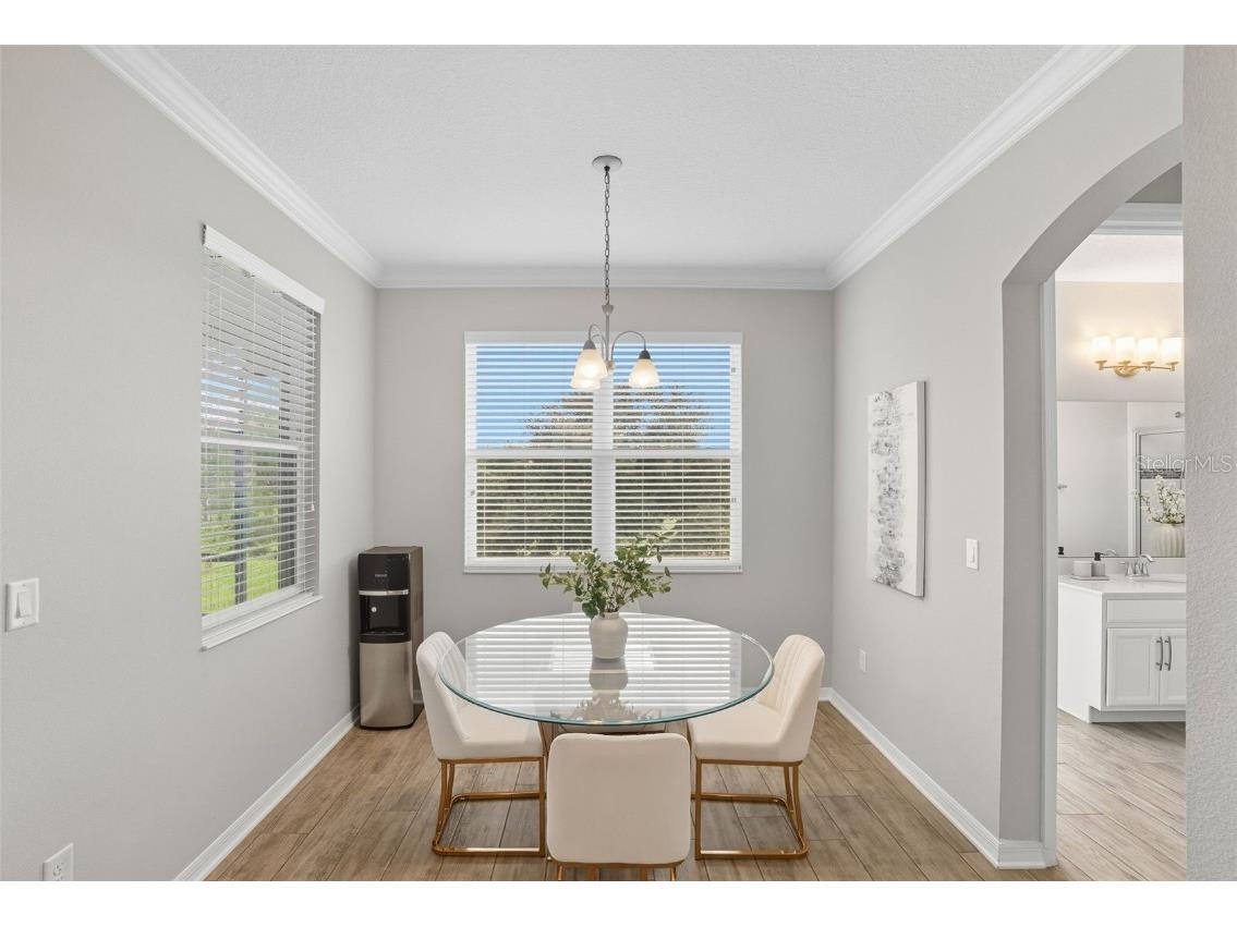 31961 Redtail Reserve Boulevard Sorrento FL 32776 O6317516 image17