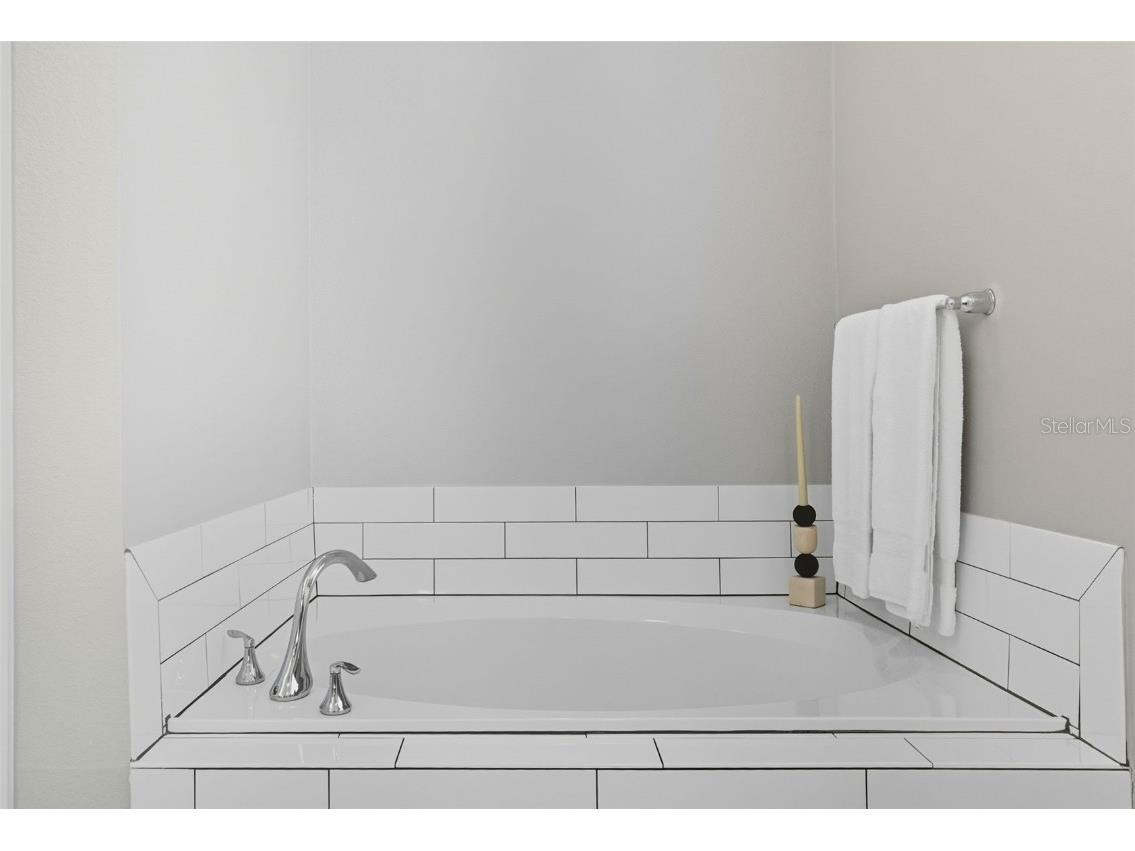 31961 Redtail Reserve Boulevard Sorrento FL 32776 O6317516 image20