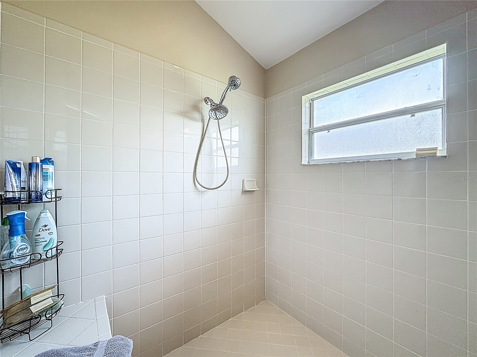 31965 Stillmeadow Drive Wesley Chapel FL 33543 TB8486055 image36