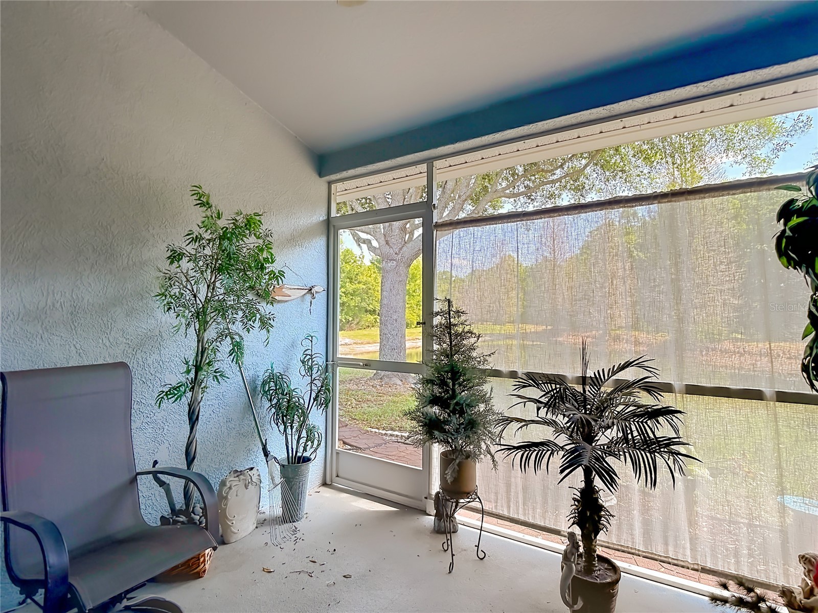 31965 Stillmeadow Drive Wesley Chapel FL 33543 TB8486055 image39