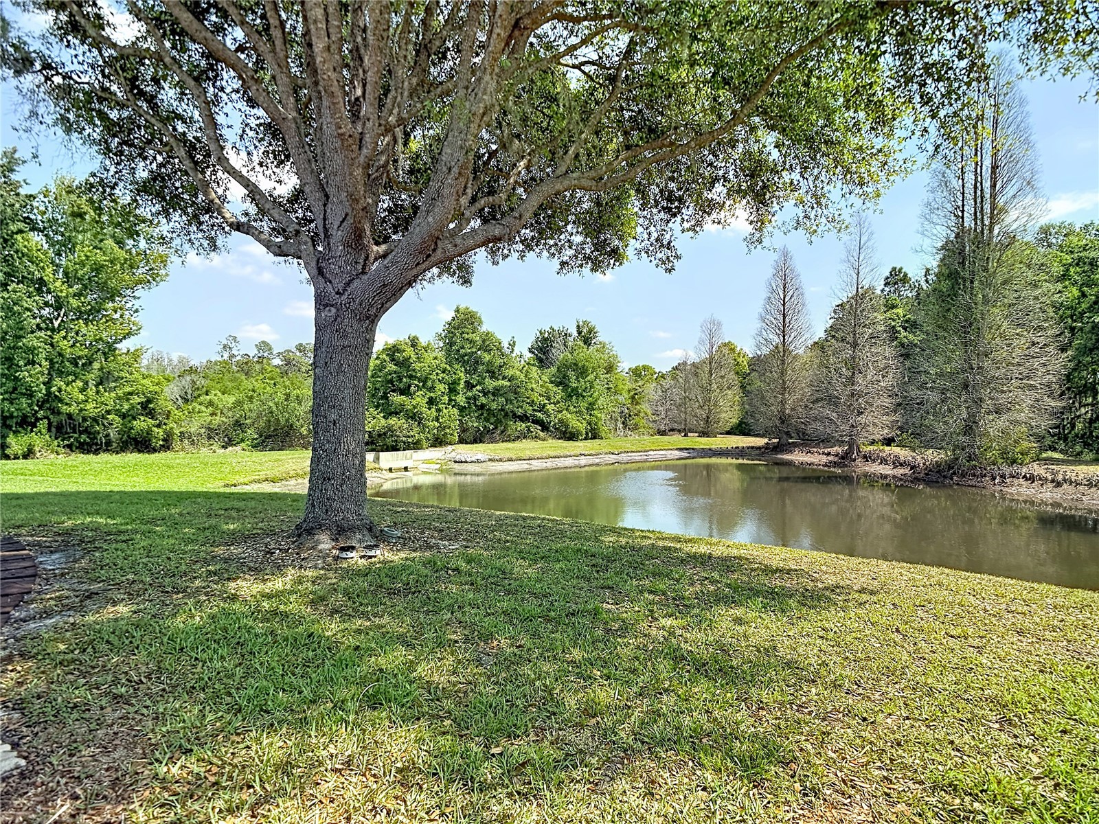 31965 Stillmeadow Drive Wesley Chapel FL 33543 TB8486055 image43