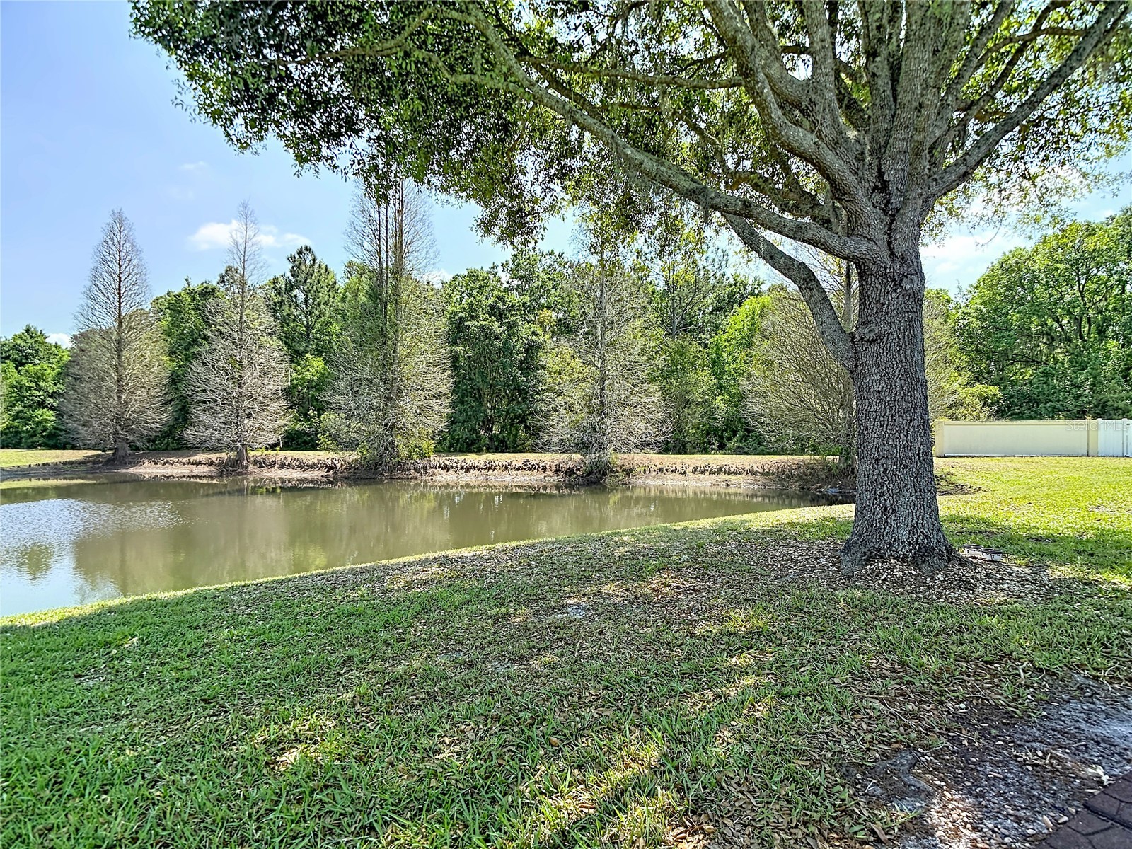 31965 Stillmeadow Drive Wesley Chapel FL 33543 TB8486055 image44