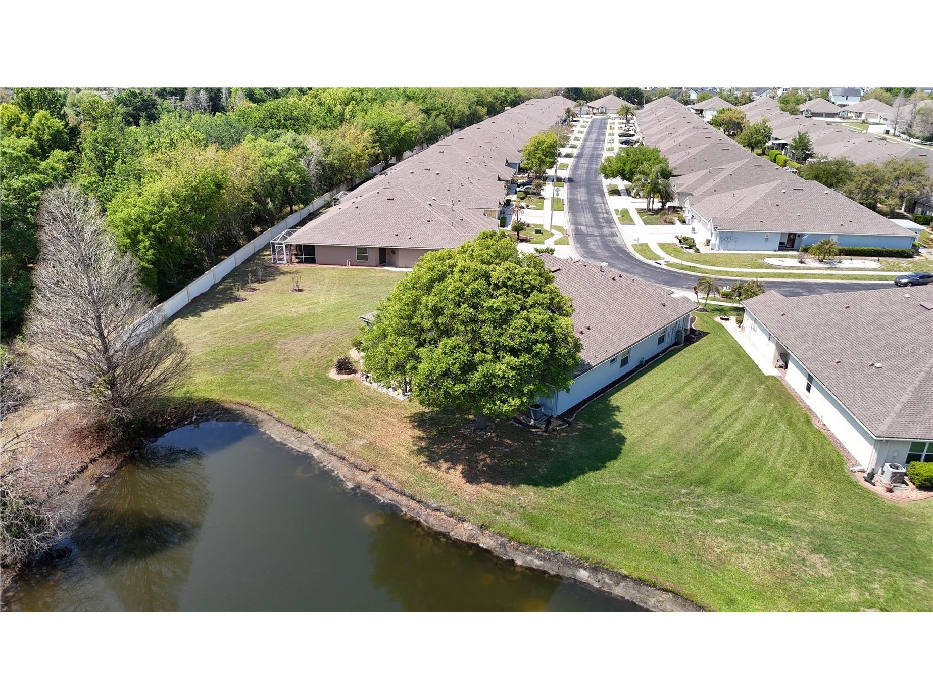 31965 Stillmeadow Drive Wesley Chapel FL 33543 TB8486055 image47