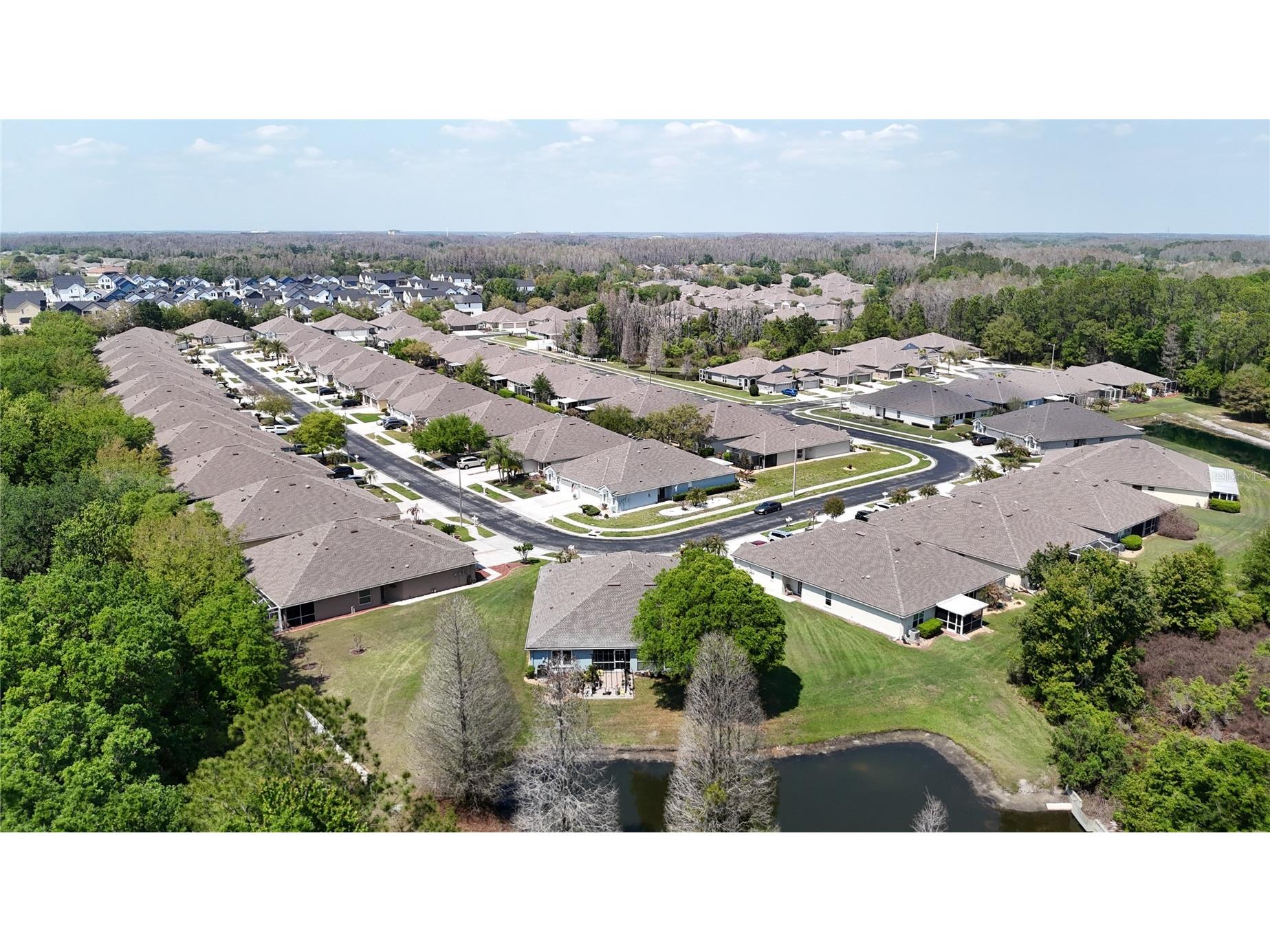 31965 Stillmeadow Drive Wesley Chapel FL 33543 TB8486055 image48