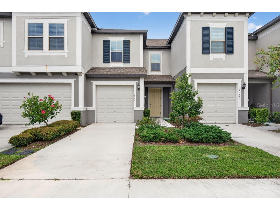 31967 Blue Passing Loop Wesley Chapel FL 33545 TB8428452 image1