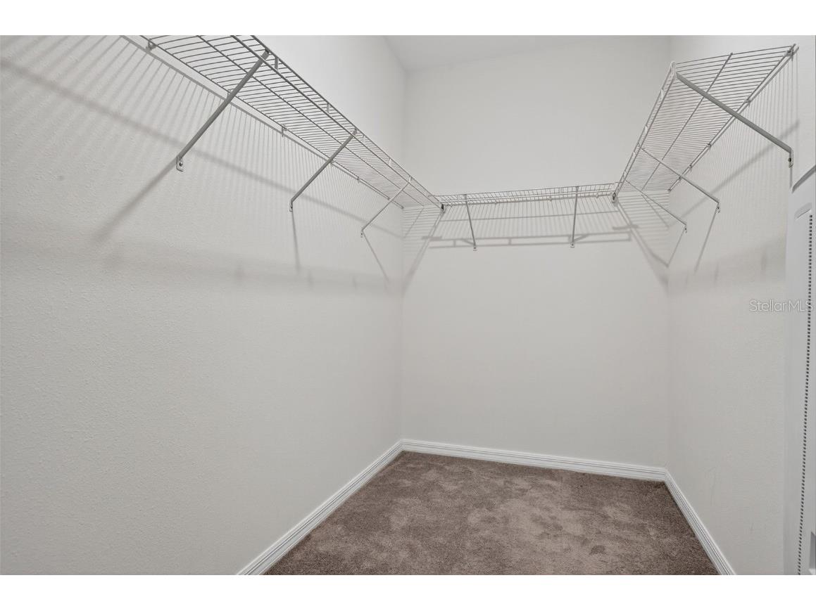 31967 Blue Passing Loop Wesley Chapel FL 33545 TB8428452 image18