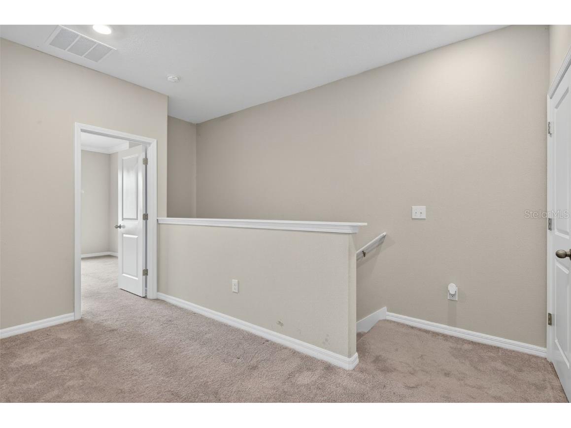 31967 Blue Passing Loop Wesley Chapel FL 33545 TB8428452 image21