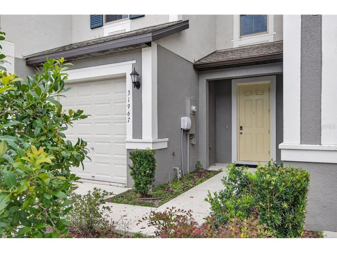 31967 Blue Passing Loop Wesley Chapel FL 33545 TB8428452 image25