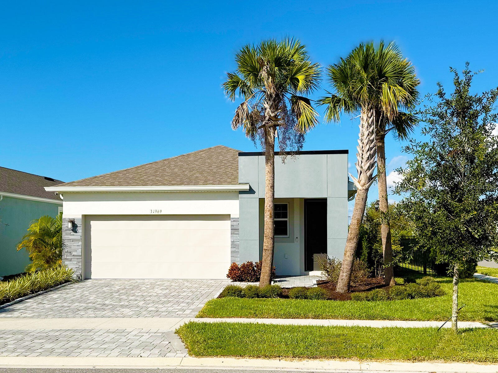 31969 Asbury Avenue Wesley Chapel FL 33545 O6424607 image1