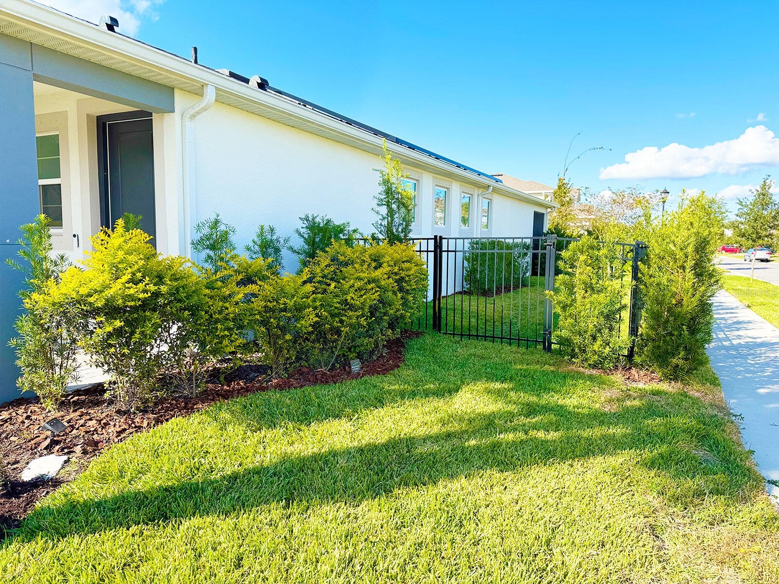 31969 Asbury Avenue Wesley Chapel FL 33545 O6424607 image11